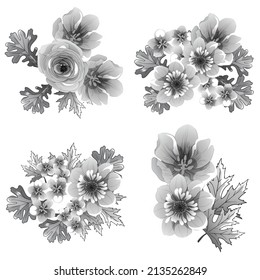 Flowers set. Collection of floral elements