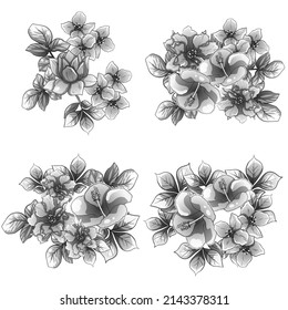 Flowers set. Collection of floral elements