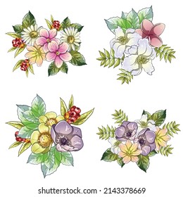 Flowers set. Collection of floral elements
