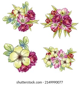 Flowers set. Collection of floral elements