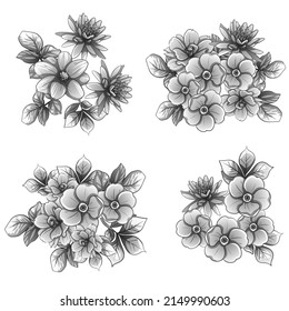 Flowers set. Collection of floral elements