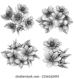 Flowers set. Collection of floral elements
