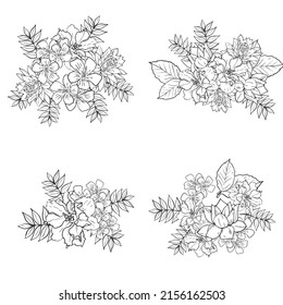 Flowers set. Collection of floral elements