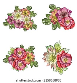 Flowers set. Collection of floral elements