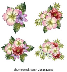 Flowers set. Collection of floral elements