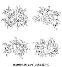 Flowers set. Collection of floral elements