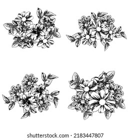 Flowers set. Collection of floral elements