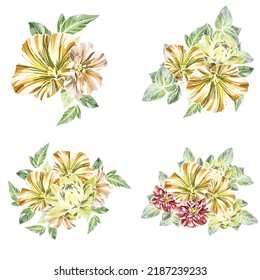 Flowers set. Collection of floral elements