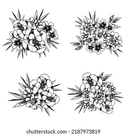 Flowers set. Collection of floral elements