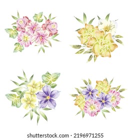 Flowers set. Collection of floral elements