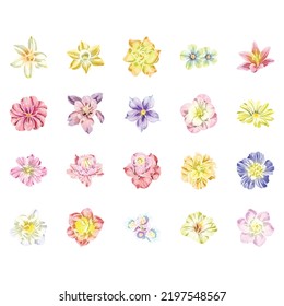 Flores puestas. Colección de elementos florales