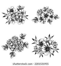 Flowers set. Collection of floral elements