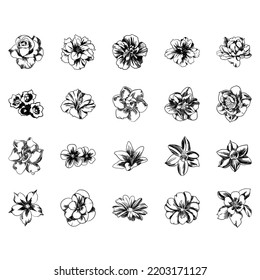 Flowers set. Collection of floral elements