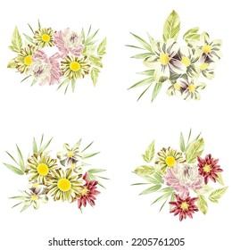 Flowers set. Collection of floral elements
