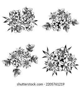Flowers set. Collection of floral elements