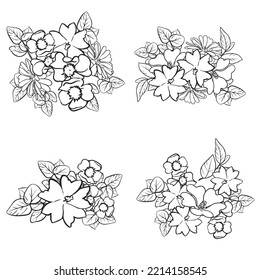 Flowers set. Collection of floral elements