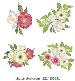 Flowers set. Collection of floral elements