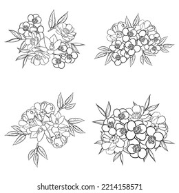 Flowers set. Collection of floral elements
