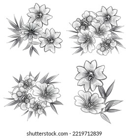 Flowers set. Collection of floral elements