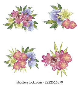 Flowers set. Collection of floral elements