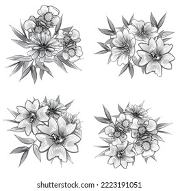 Flowers set. Collection of floral elements