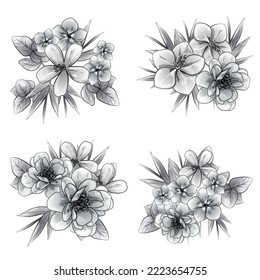 Flowers set. Collection of floral elements