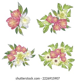 Flowers set. Collection of floral elements