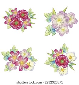Flowers set. Collection of floral elements