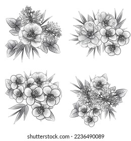 Flowers set. Collection of floral elements