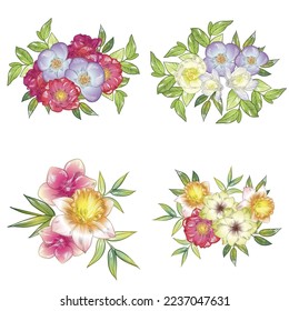 Flowers set. Collection of floral elements