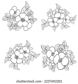 Flowers set. Collection of floral elements