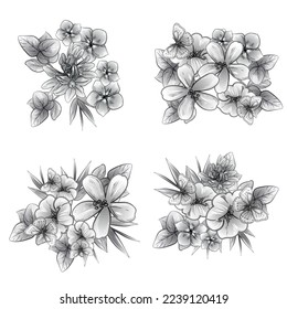 Flores puestas. Colección de elementos florales