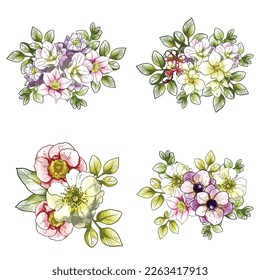 Flowers set. Collection of floral elements