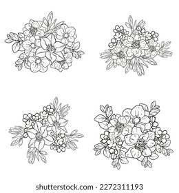 Flowers set. Collection of floral elements