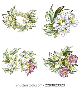 Flowers set. Collection of floral elements