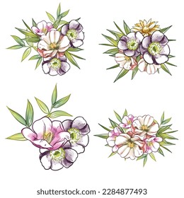 Flowers set. Collection of floral elements