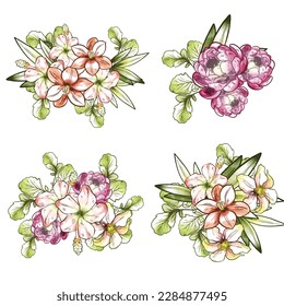 Flowers set. Collection of floral elements