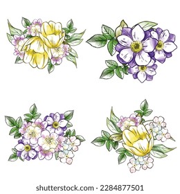 Flowers set. Collection of floral elements