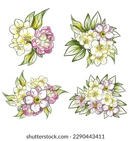 Flores puestas. Colección de elementos florales