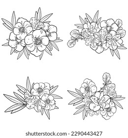 Blumengarnitur. Sammlung von Blumenelementen