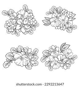 Flowers set. Collection of floral elements