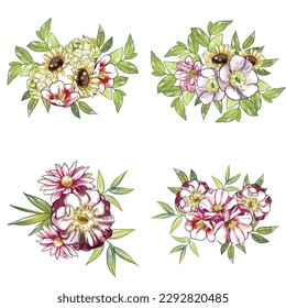 Flowers set. Collection of floral elements