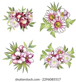 Flowers set. Collection of floral elements
