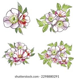 Flowers set. Collection of floral elements