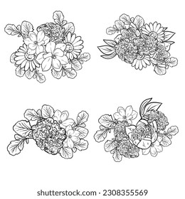 Flowers set. Collection of floral elements