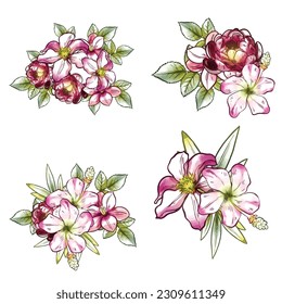 Flowers set. Collection of floral elements