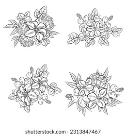 Flowers set. Collection of floral elements