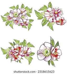 Flowers set. Collection of floral elements