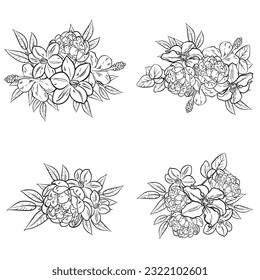 Flowers set. Collection of floral elements
