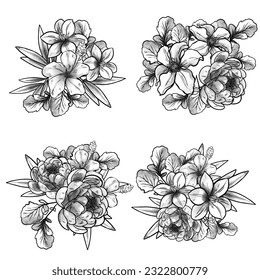 Flowers set. Collection of floral elements